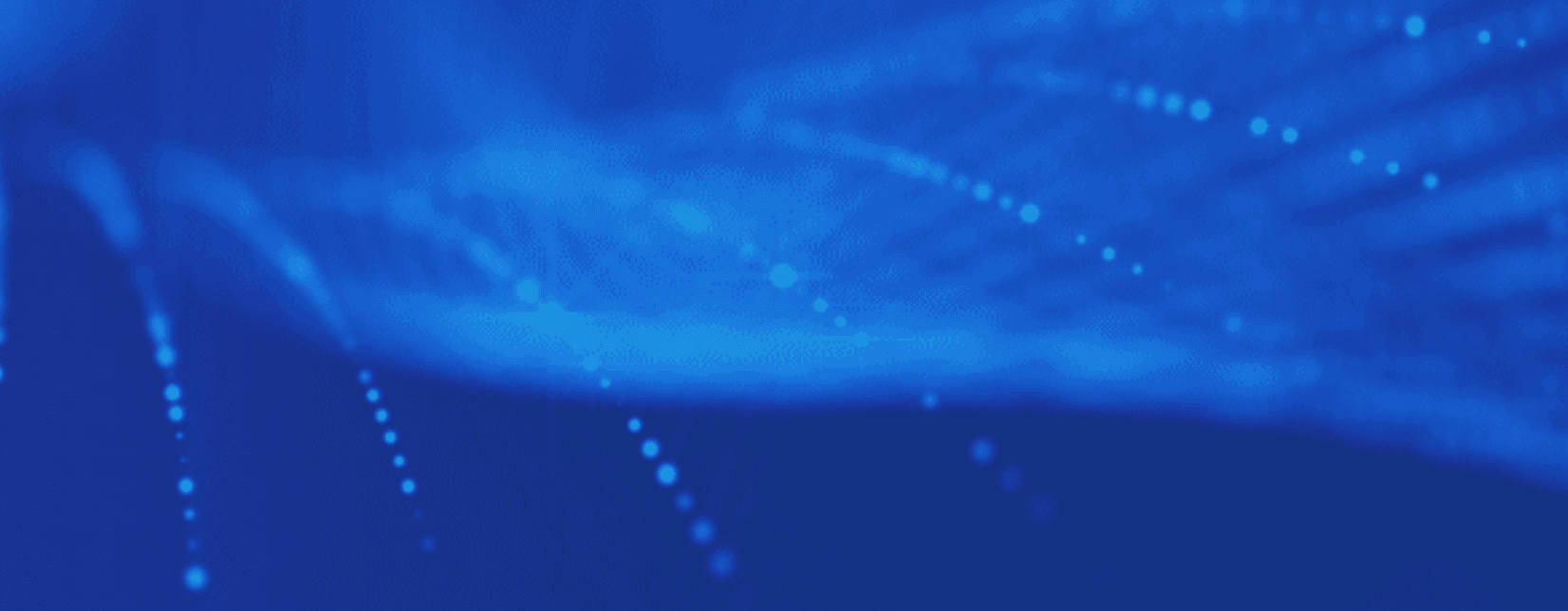 project preview
